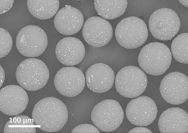 AlN filler SEM